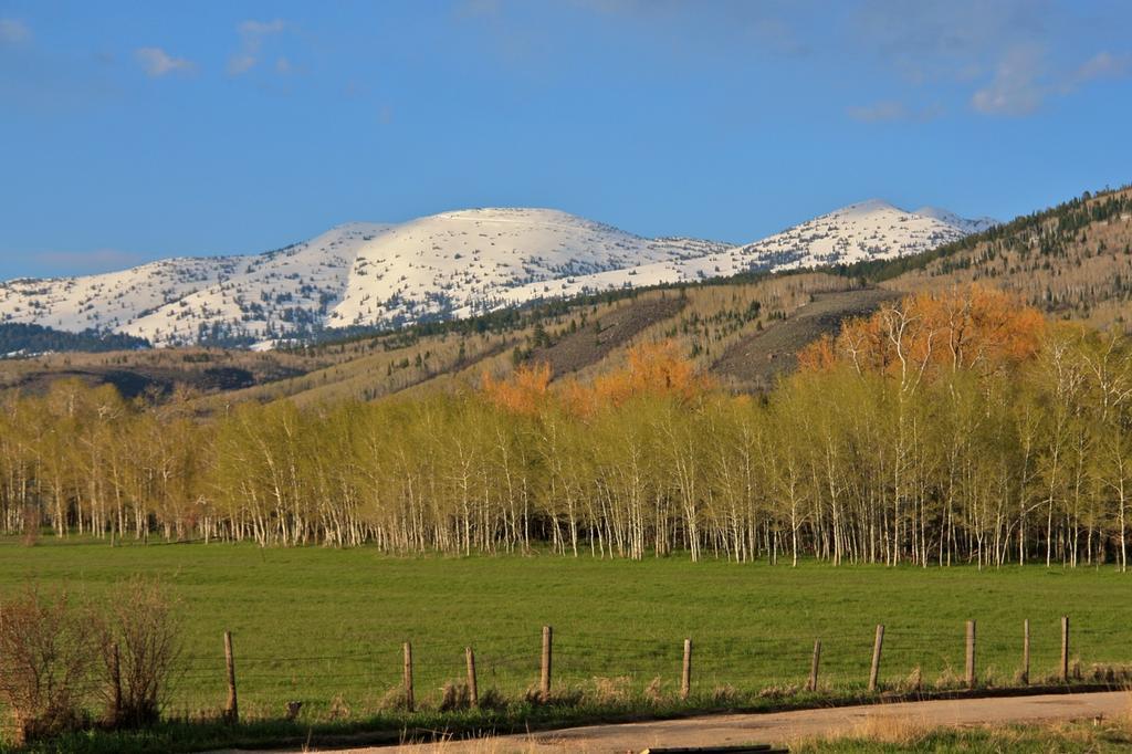 Teton Hostel Hideaway Driggs Bagian luar foto