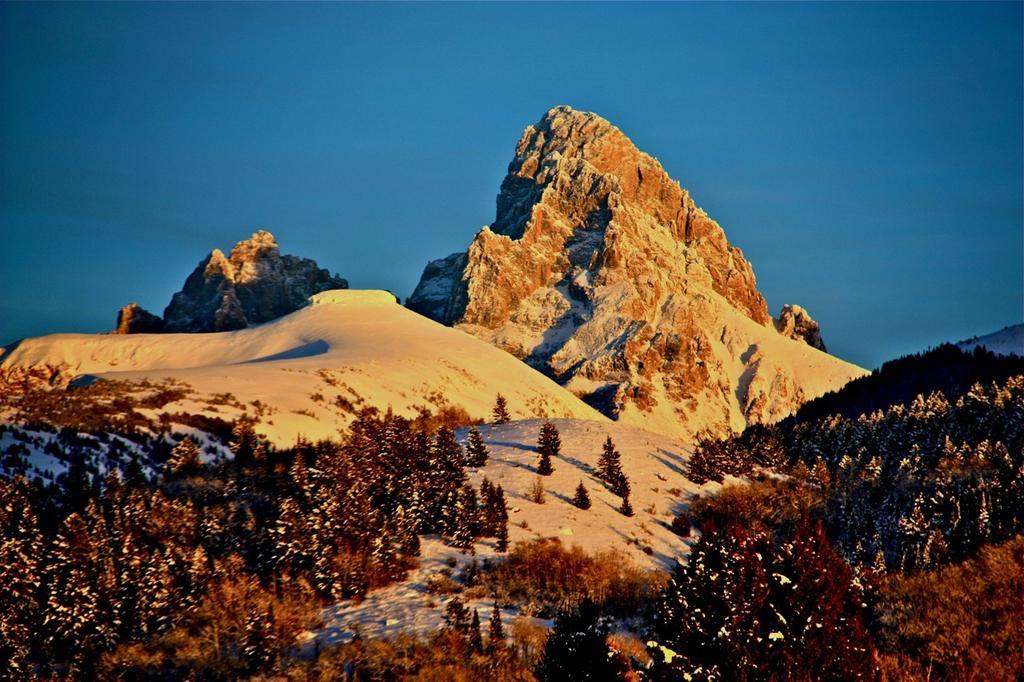 Teton Hostel Hideaway Driggs Bagian luar foto