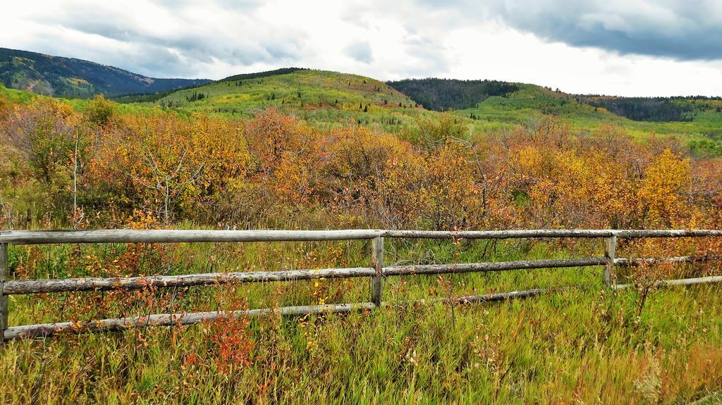 Teton Hostel Hideaway Driggs Bagian luar foto