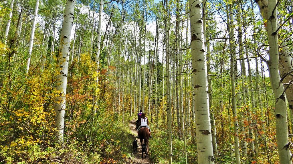 Teton Hostel Hideaway Driggs Bagian luar foto